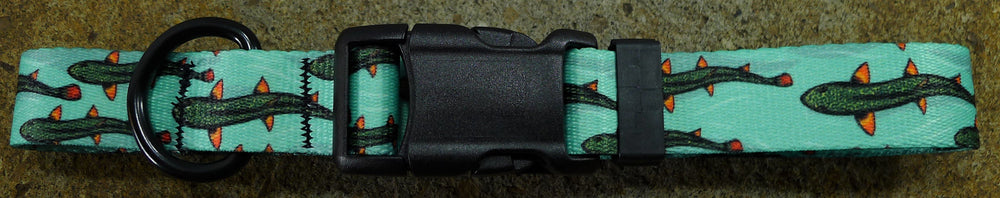 Dog Collar Trout Drew Wilson