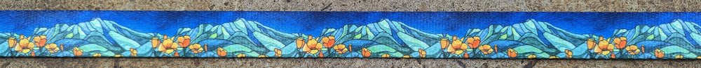 Mount Tam Dog Leash