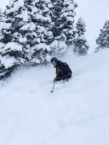 Idaho 9 Ski Pole Strap