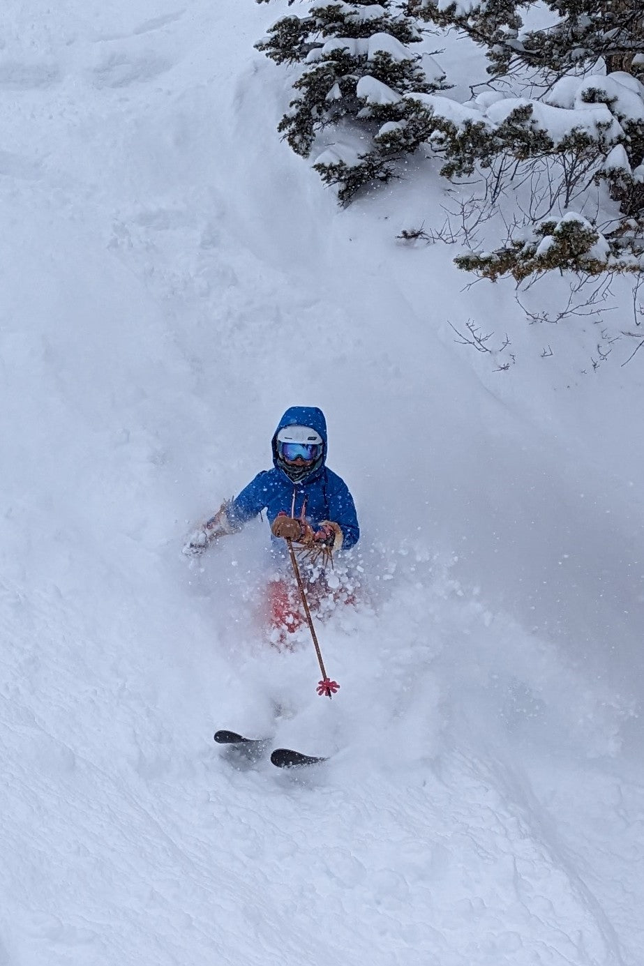 Lone 2 Ski Pole Strap