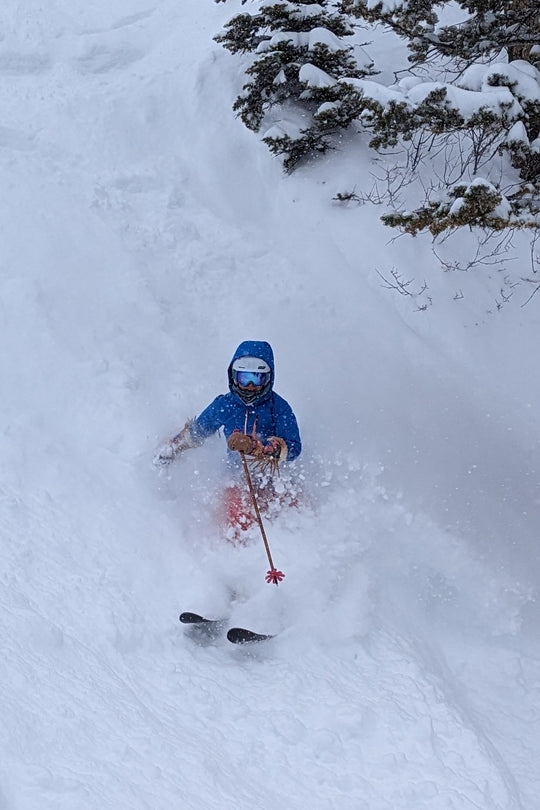 Lone 2 Ski Pole Strap