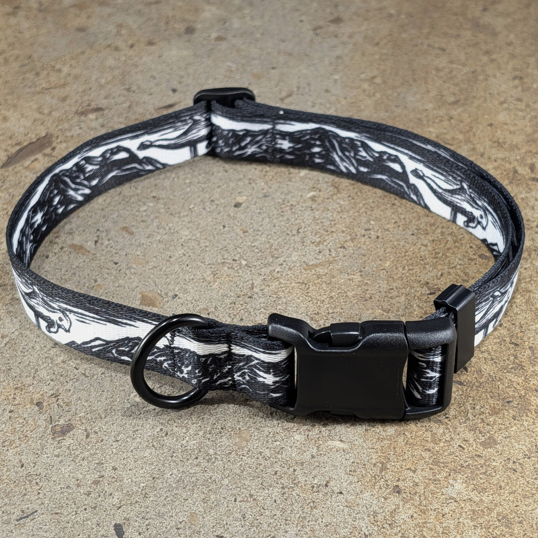 IYKYK Dog Collar