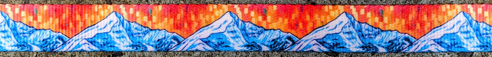 Lone 2 Ski Pole Strap