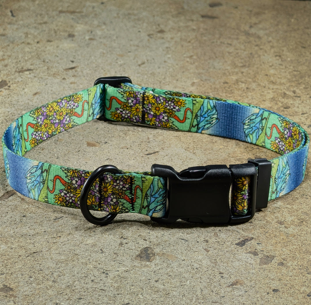 Crested Butte Dog Collar