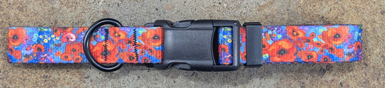 Fantasia Dog Collar
