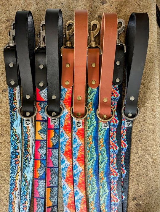 Limited Edition Leash  Triple Colab
