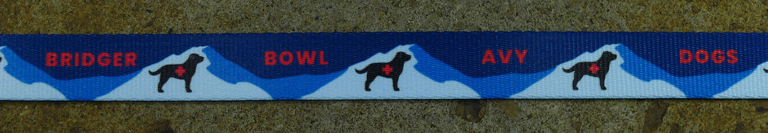 Bridger Avy Dog Ski Pole Strap