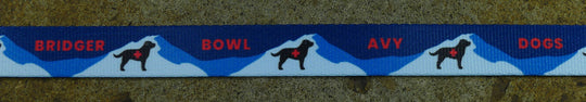 Bridger Avy Dog Ski Pole Strap