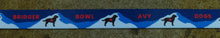 Bridger Avy Dog Ski Pole Strap