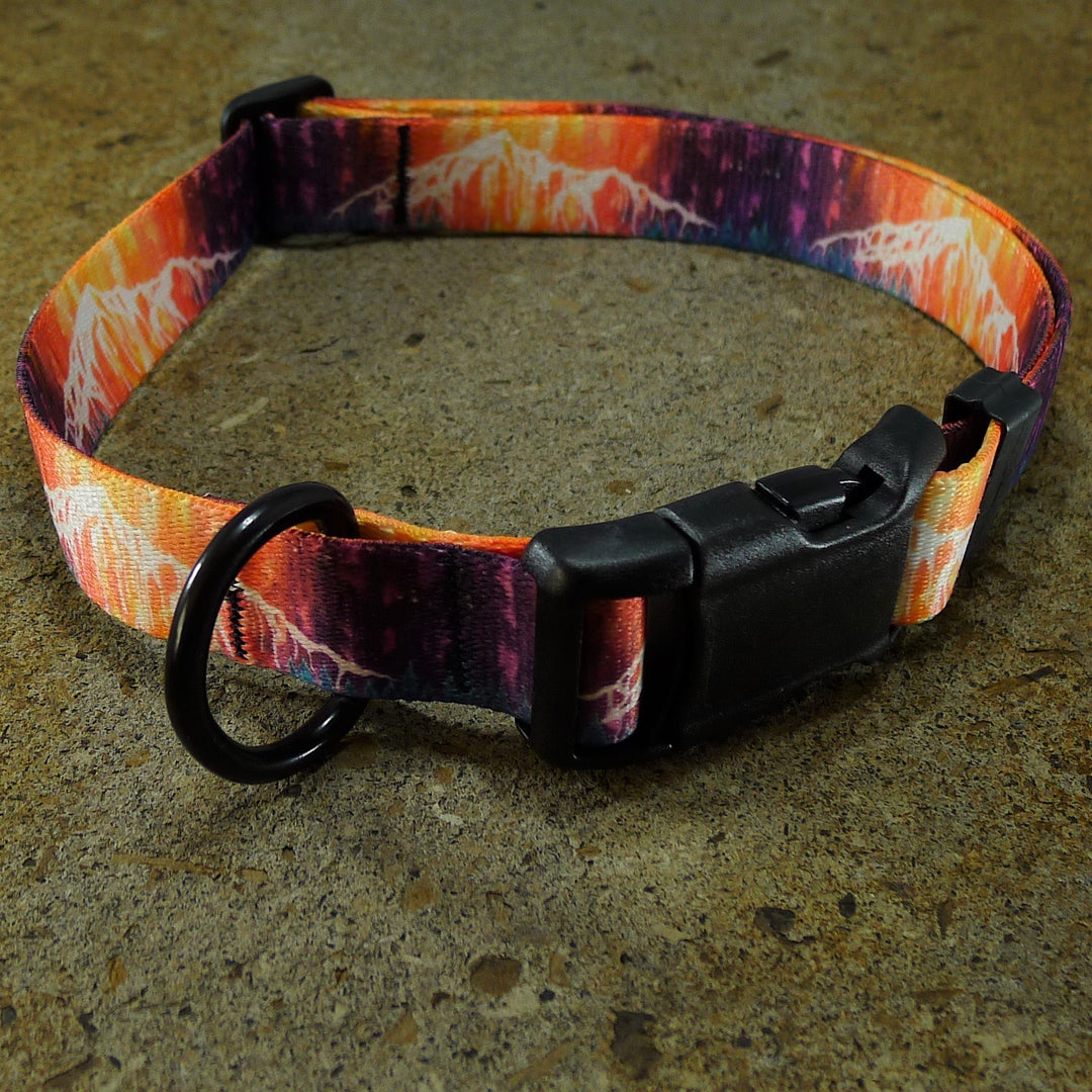 Dog Collar Lone Peak Big Sky Montana Heather Rapp