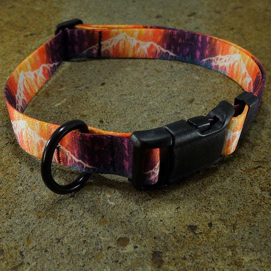 Dog Collar Lone Peak Big Sky Montana Heather Rapp