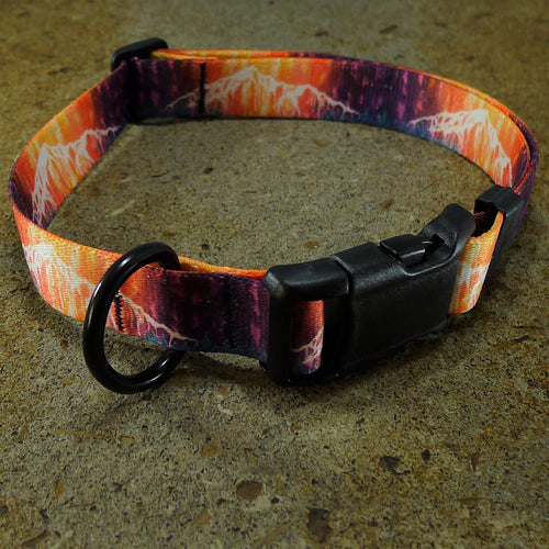 Dog Collar Lone Peak Big Sky Montana Heather Rapp