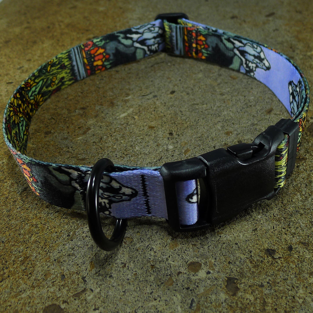 Dog Collar Grand Teton Sarah Angst Bozeman Montana