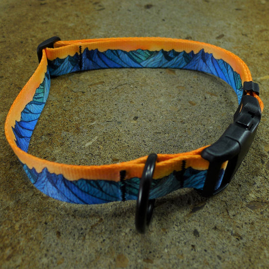 Dog Collar The Grand Teton Sydni Day