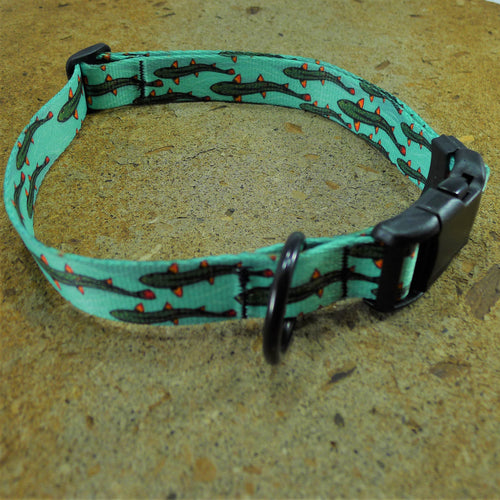 Dog Collar Trout Drew Wilson