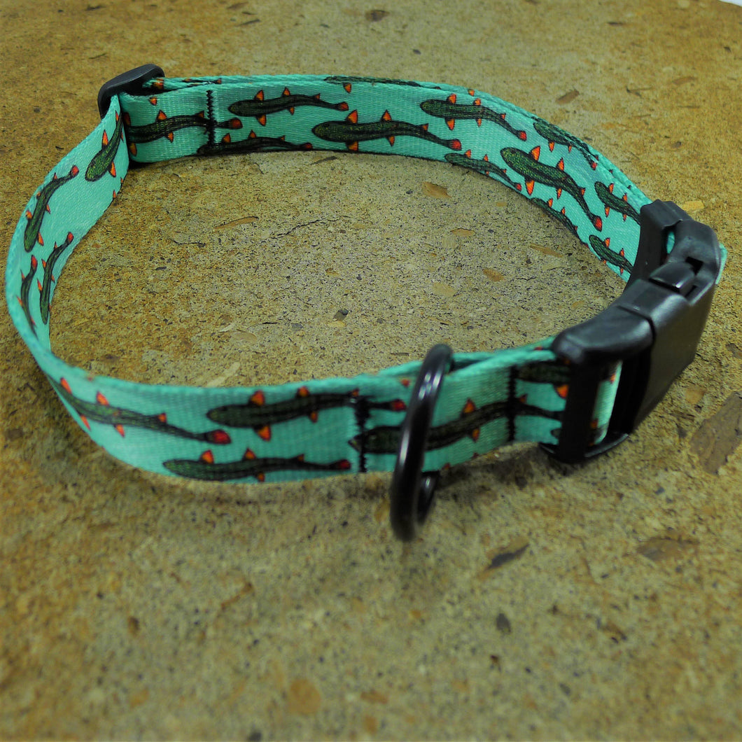 Dog Collar Trout Drew Wilson