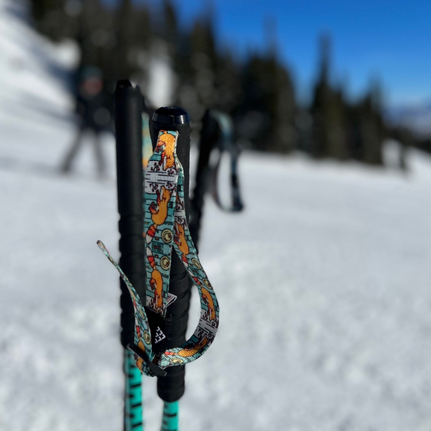 Fox Ski Pole Strap – MTN Straps