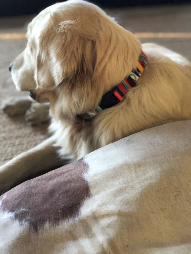 Autumn Dog Collar