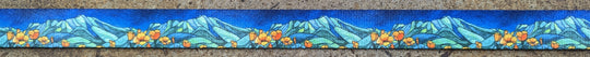 Mount Tam Dog Leash