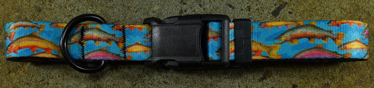 Mtn Straps Trout Tales dog collar flat