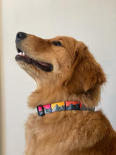 Idaho 9 Dog Collar
