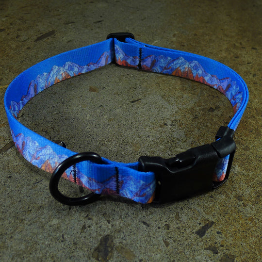 Wasatch Front Dog Collar