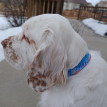 Wasatch Front Dog Collar